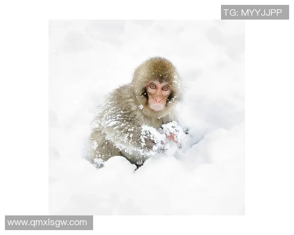 足球明星保罗精彩瞬间高清图片合集分享与欣赏 足球明星保罗精彩瞬间高清图片合集分享与欣赏
