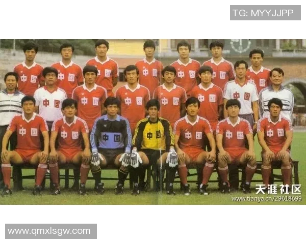 广州排球队的奋斗历程与洲际杯荣耀之路揭秘