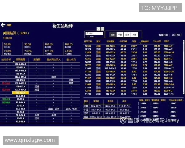 西安羽毛球队在锦标赛中的技术表现分析与点评
