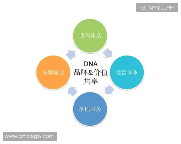 广州足球队的战术创新与运营体系解析探讨 广州足球队的战术创新与运营体系解析探讨