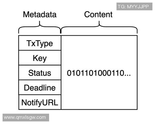 重庆排球队的战术控制体系解析与实践探讨 重庆排球队的战术控制体系解析与实践探讨